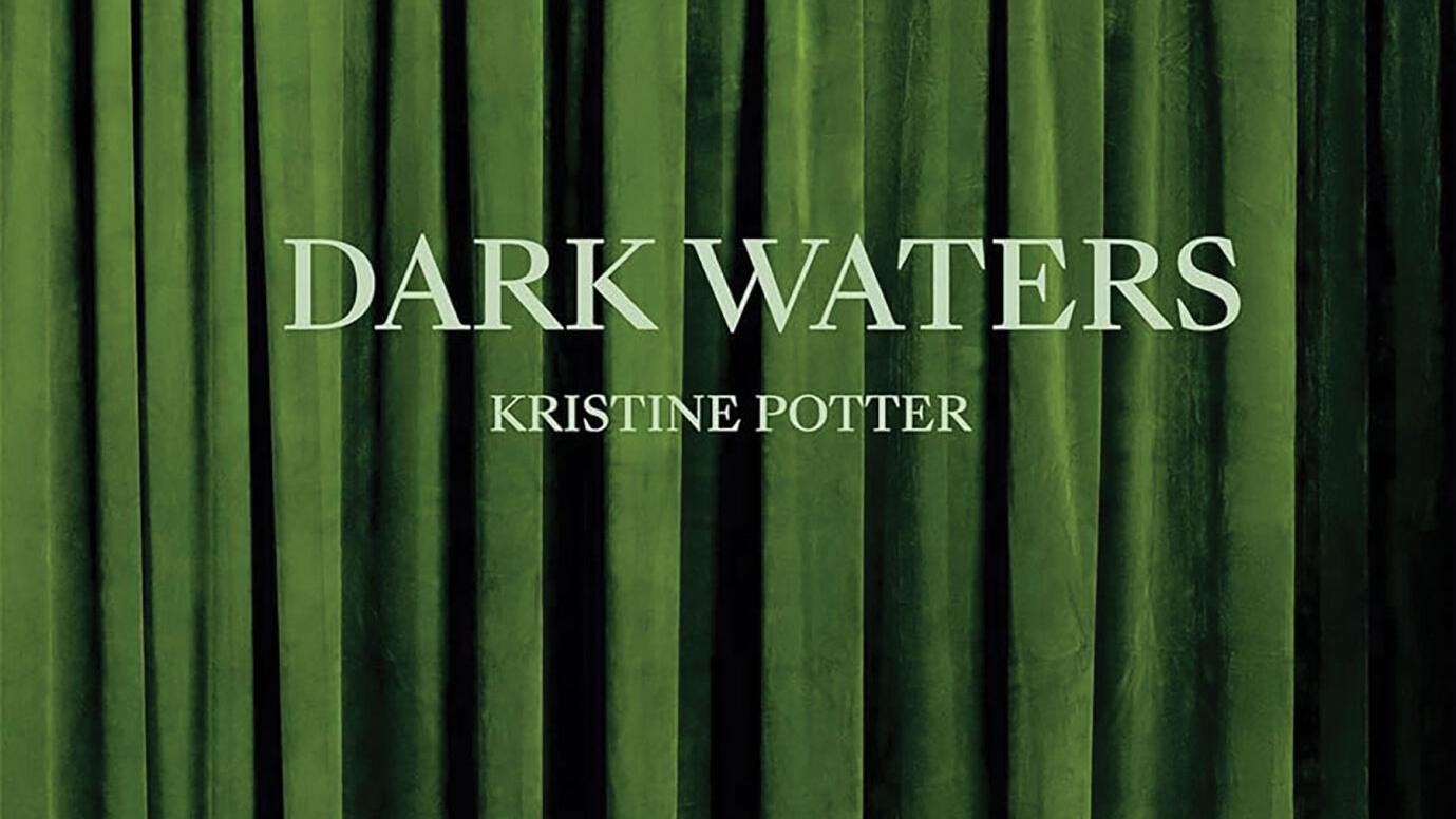 'Dark Waters' by Kristine Potter